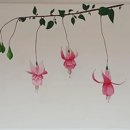 منزل ريفي Da Barroca Tabosa